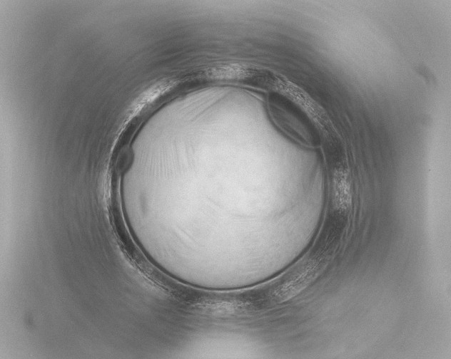 X0000116390726200912231109