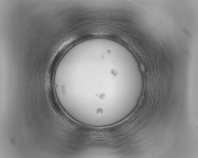 X0000116390727200912231109