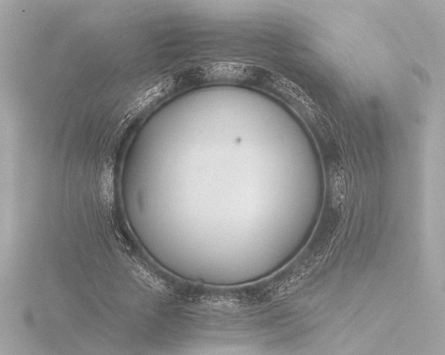 X0000116390729200912231109