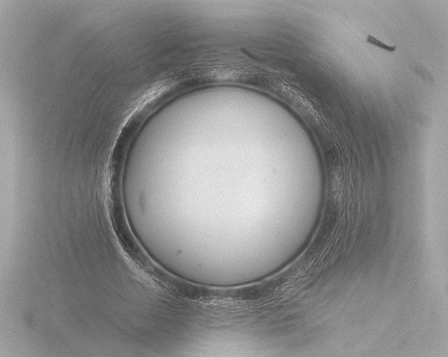 X0000116390730200912231109