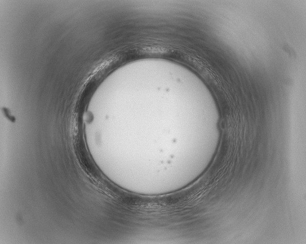 X0000116390731200912231109