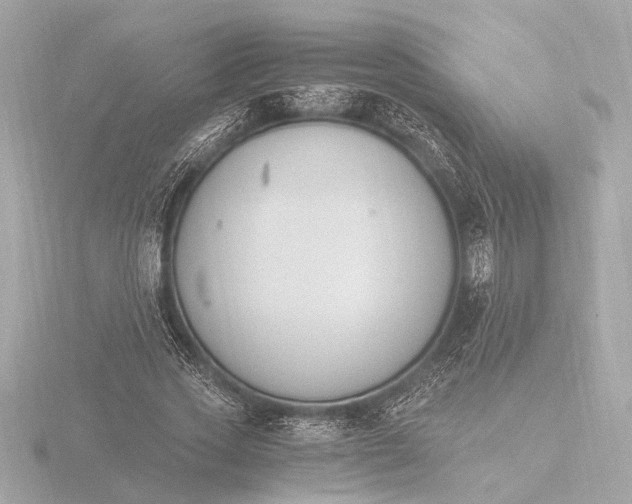 X0000116390733200912231109