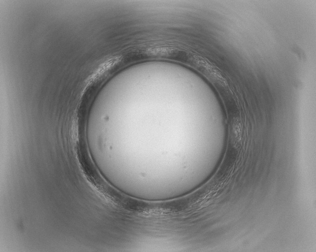 X0000116390734200912231109