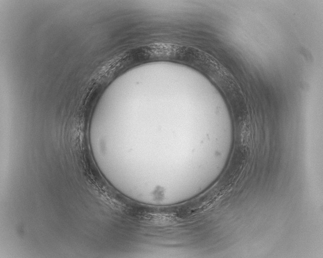 X0000116390737200912231109