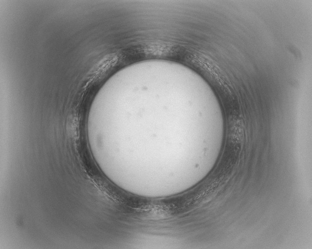 X0000116390738200912231109