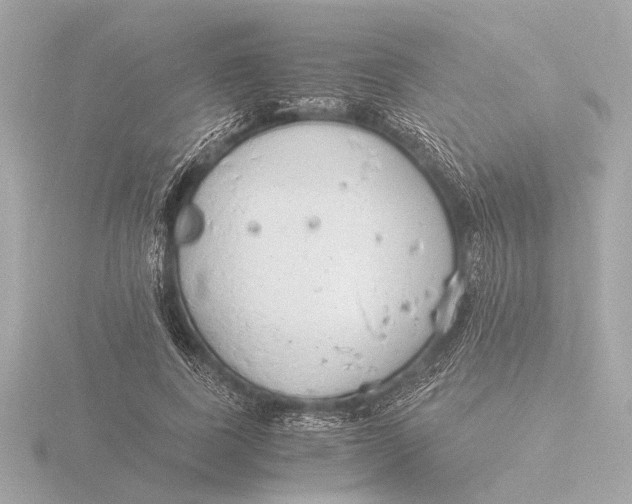 X0000116390739200912231109