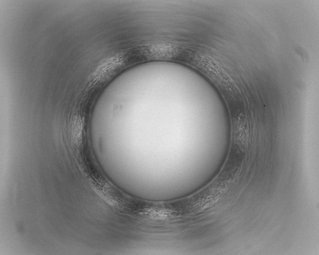 X0000116390742200912231109