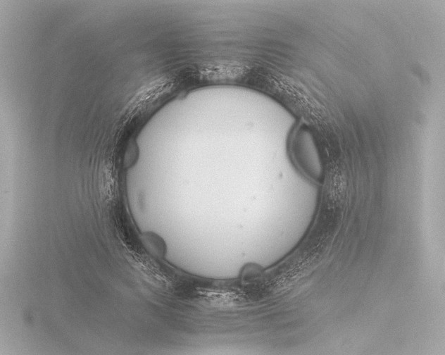 X0000116390743200912231109