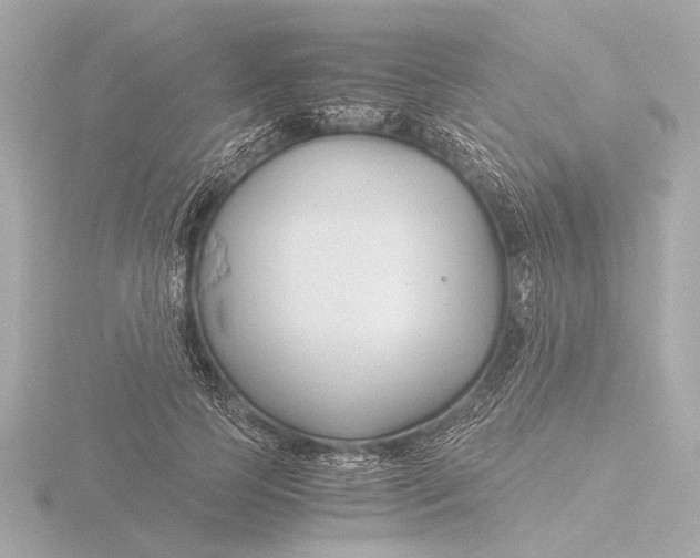 X0000116390745200912231109