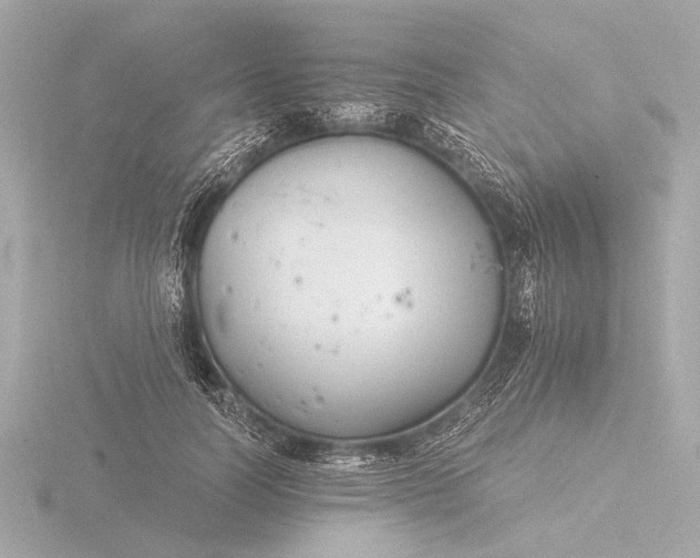 X0000116390746200912231109