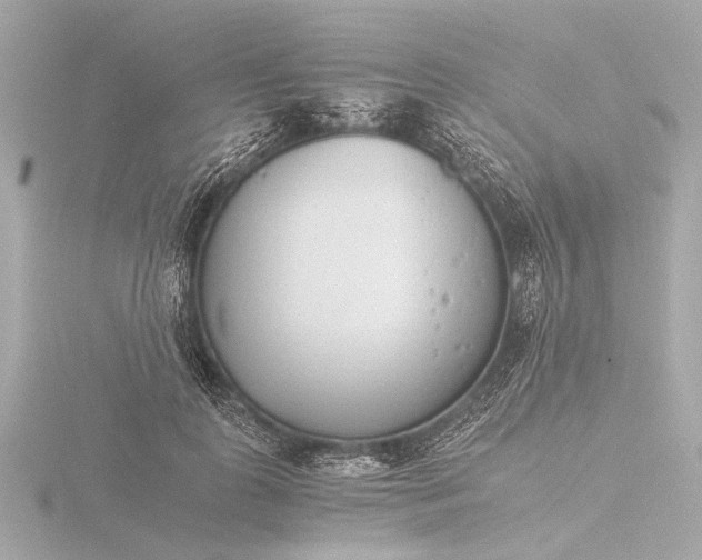 X0000116390747200912231109