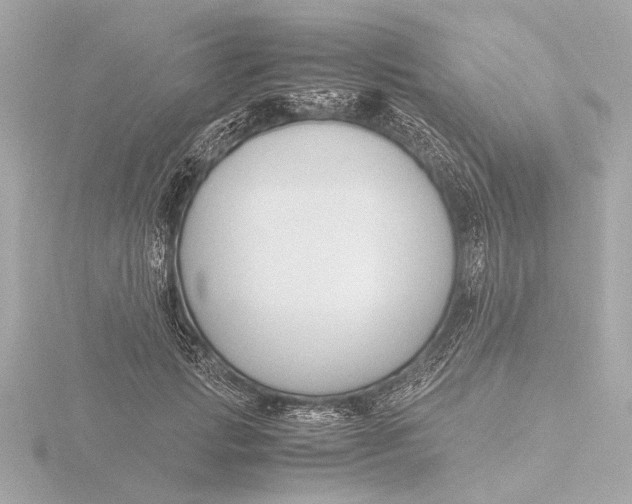 X0000116390749200912231109