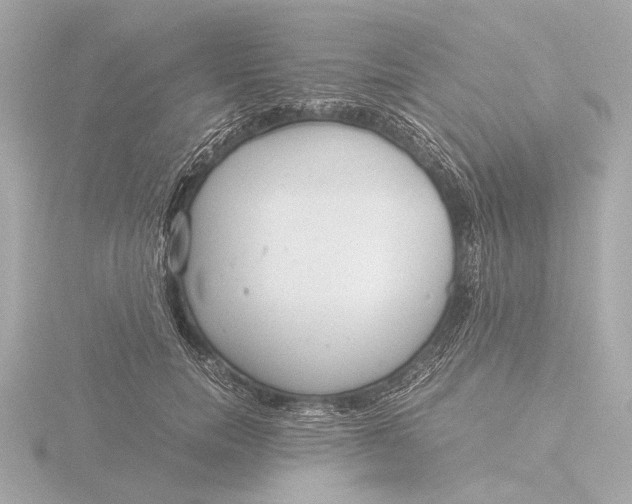 X0000116390750200912231109