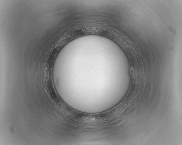 X0000116390751200912231109