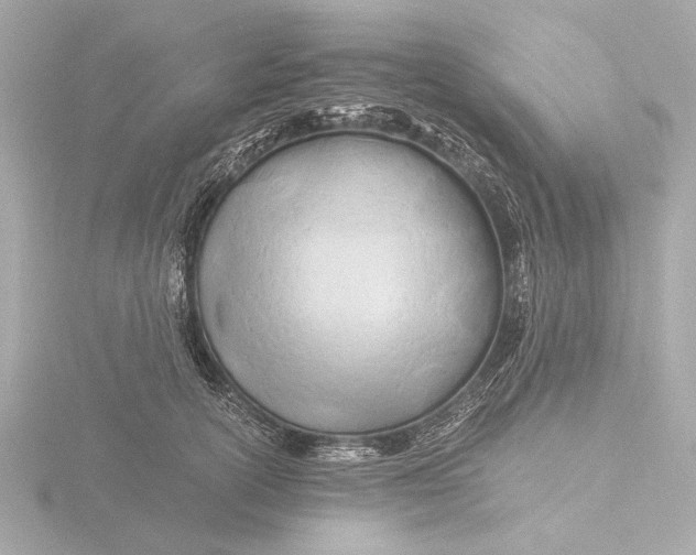 X0000116390754200912231109