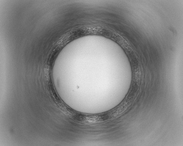 X0000116390757200912231109