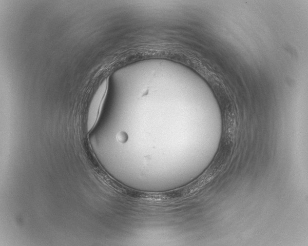 X0000116390758200912231109