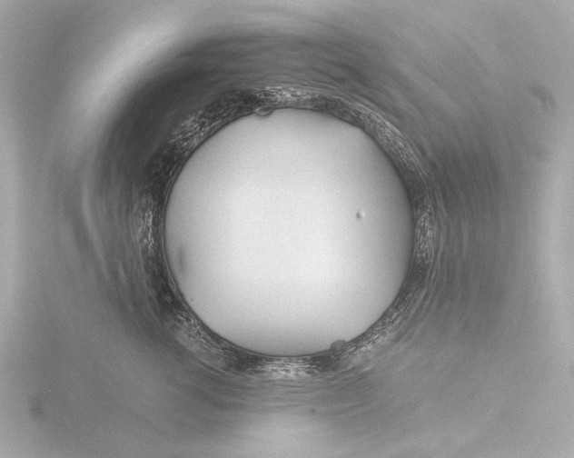 X0000116390762200912231109