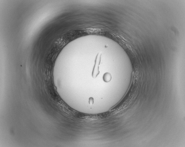 X0000116390763200912231109