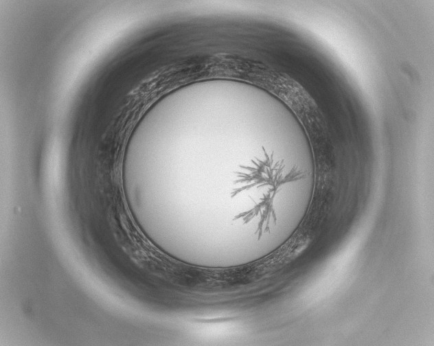 X0000116390765200912231109