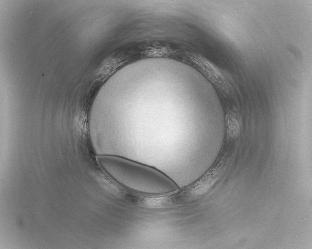 X0000116390766200912231109