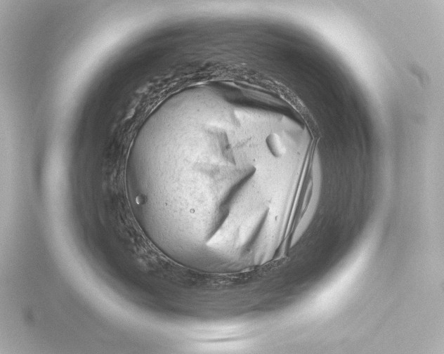 X0000116390767200912231109