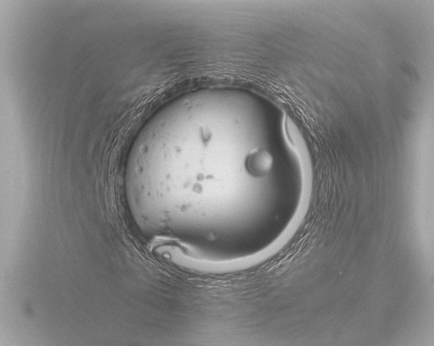 X0000116390769200912231108