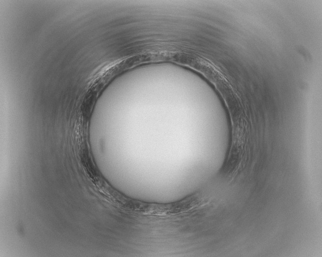 X0000116390773200912231108