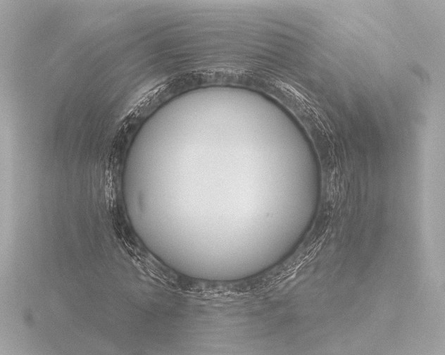 X0000116390774200912231108