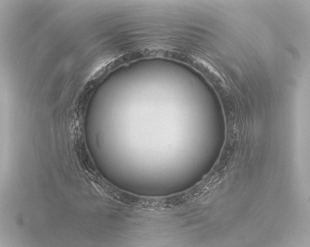 X0000116390775200912231108