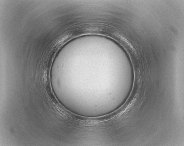 X0000116390777200912231108