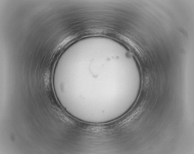 X0000116390778200912231108