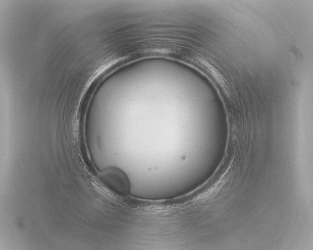 X0000116390779200912231108