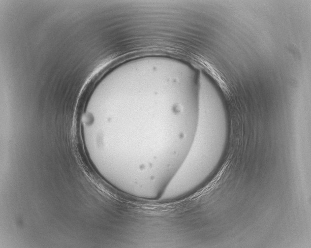 X0000116390780200912231108