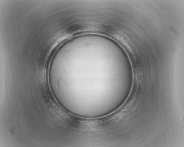 X0000116390781200912231108