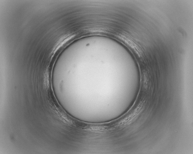 X0000116390782200912231108