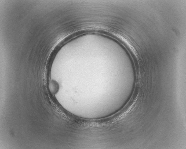 X0000116390783200912231108