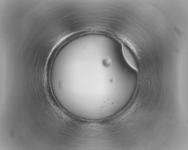 X0000116390784200912231108