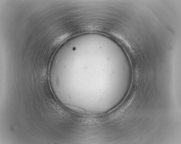 X0000116390785200912231108