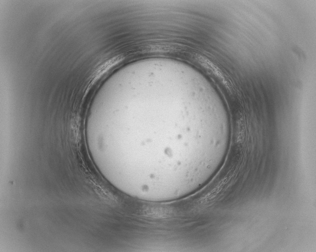 X0000116390786200912231108