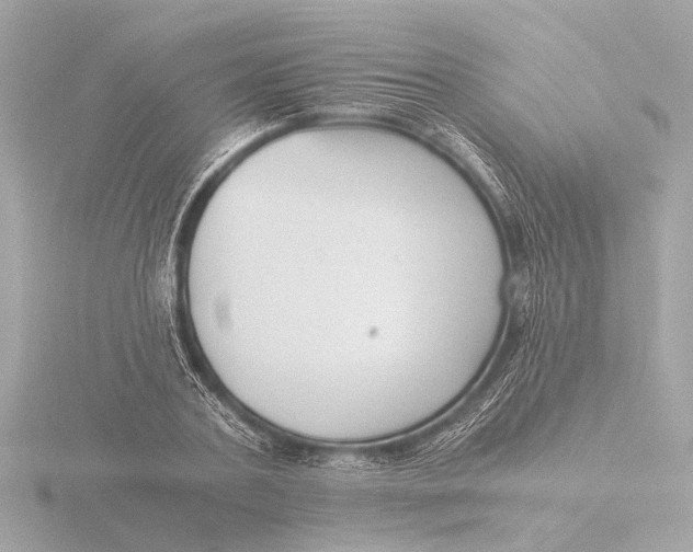 X0000116390787200912231108