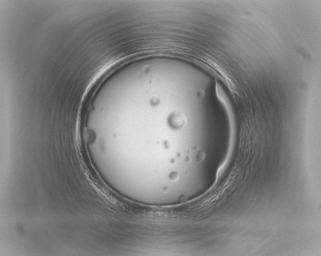 X0000116390788200912231108