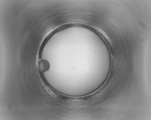 X0000116390791200912231108