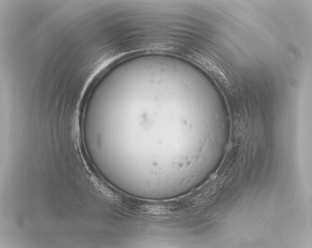 X0000116390792200912231108