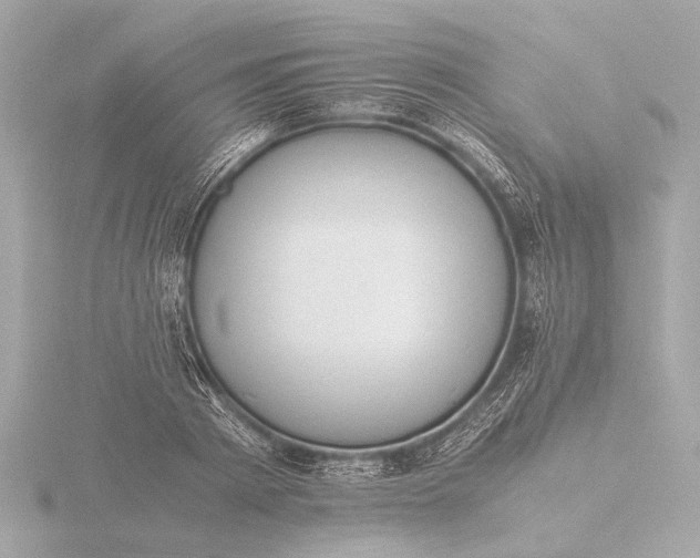 X0000116390793200912231108