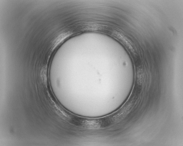 X0000116390794200912231108