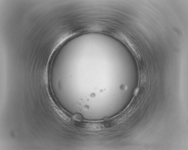 X0000116390795200912231108