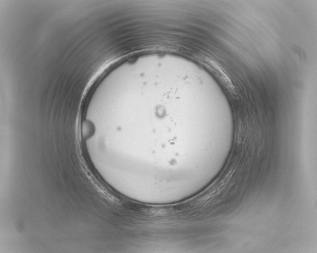 X0000116390796200912231108