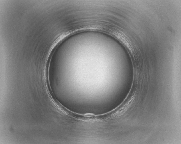 X0000116390797200912231108