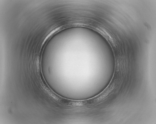 X0000116390798200912231108